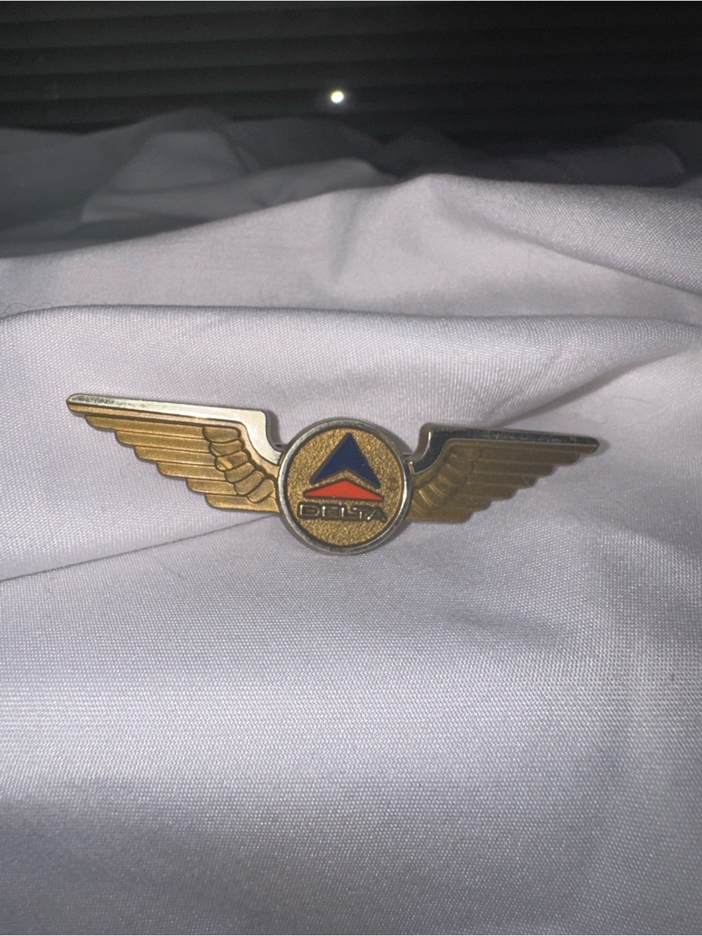 VTG children’s Delta Gold Winged Pilot Pin